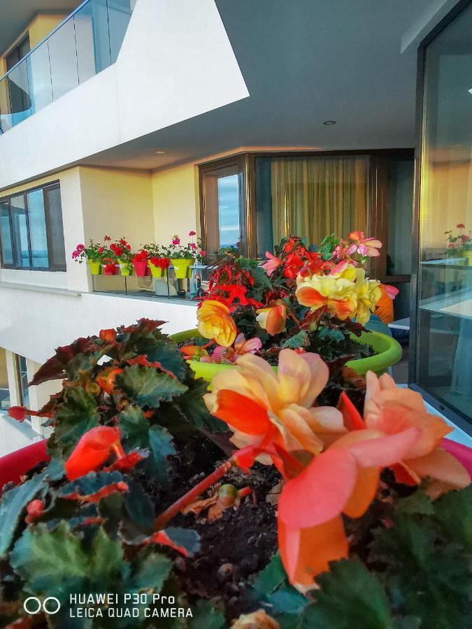 Luxury Apartments Alix Burgas Exterior foto